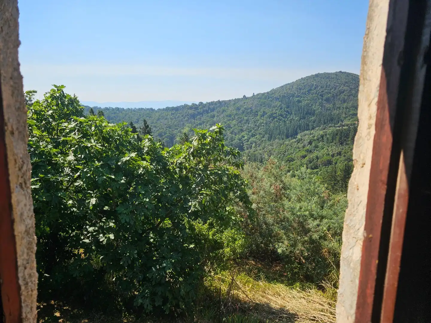 Finca rústica en venda en Riells i Viabrea amb Jardí privat i Traster