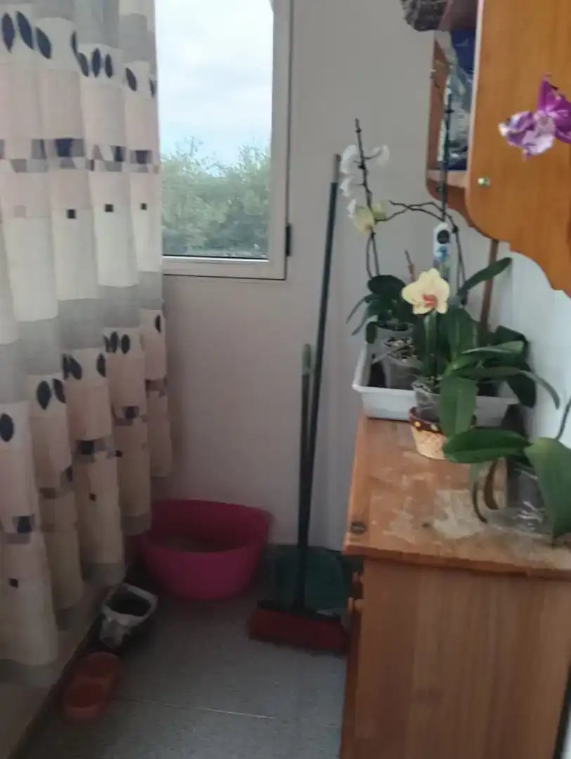 Baño de Apartamento en venta en Moya (Las Palmas) con Balcón