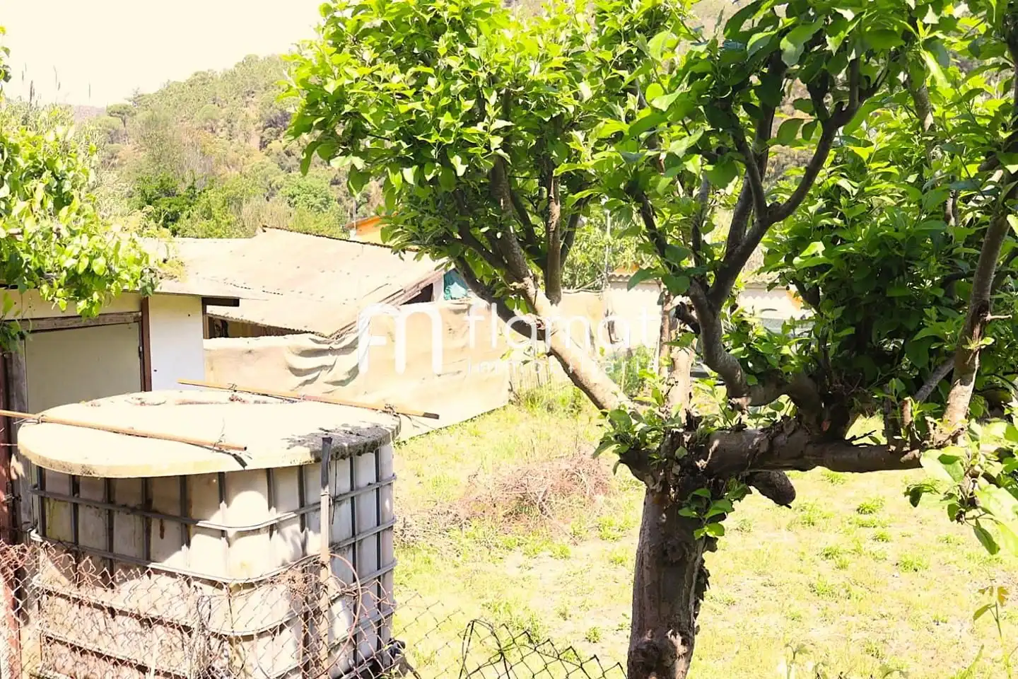 Casa o xalet en venda en Massanes amb Jardí privat i Terrassa