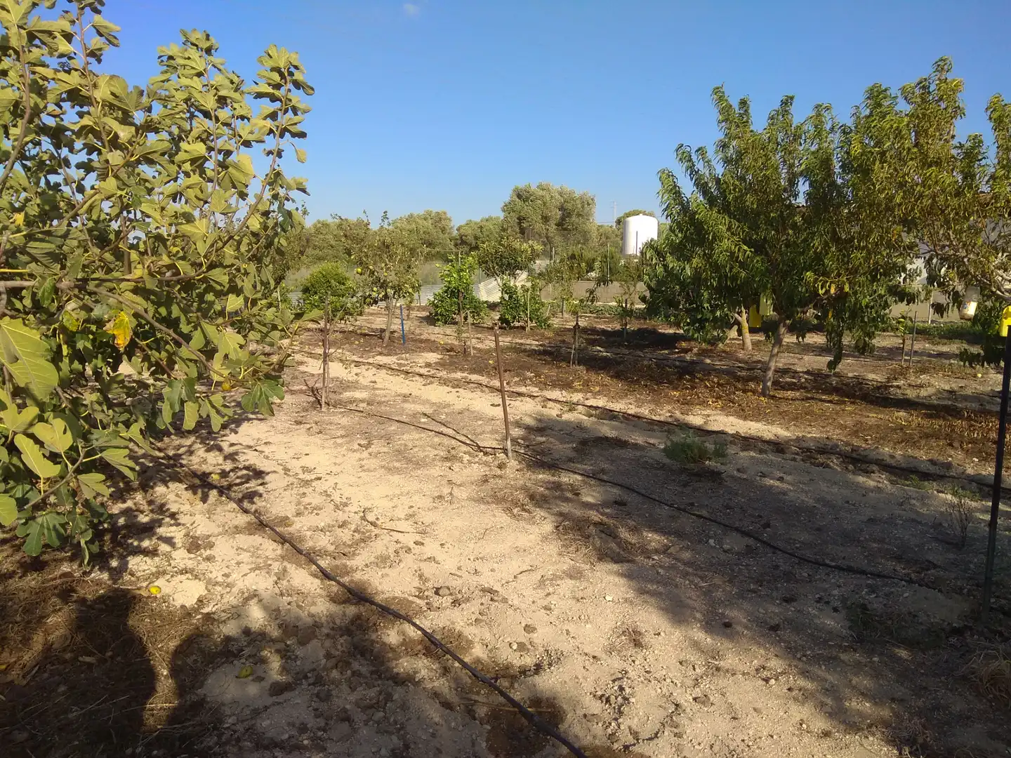 Terreno rustico in vendita a Pescadores - Saladillo
