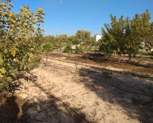 Terreny en venda en Algeciras