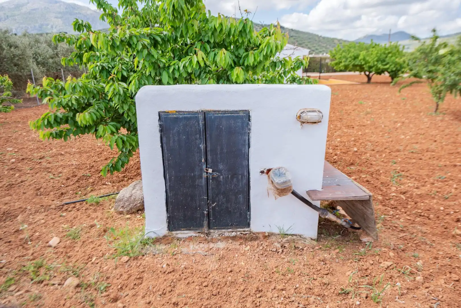 Maison avec jardin à vendre à Villanueva del Rosario, imagen 45