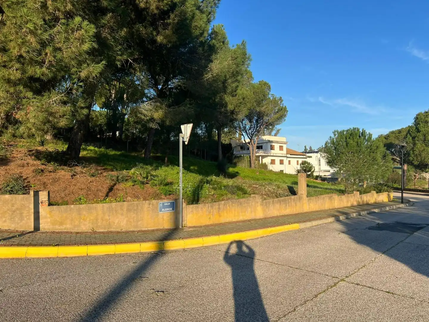 Terreni e lotti in vendita a Dehesa - Monacilla, imagen 4