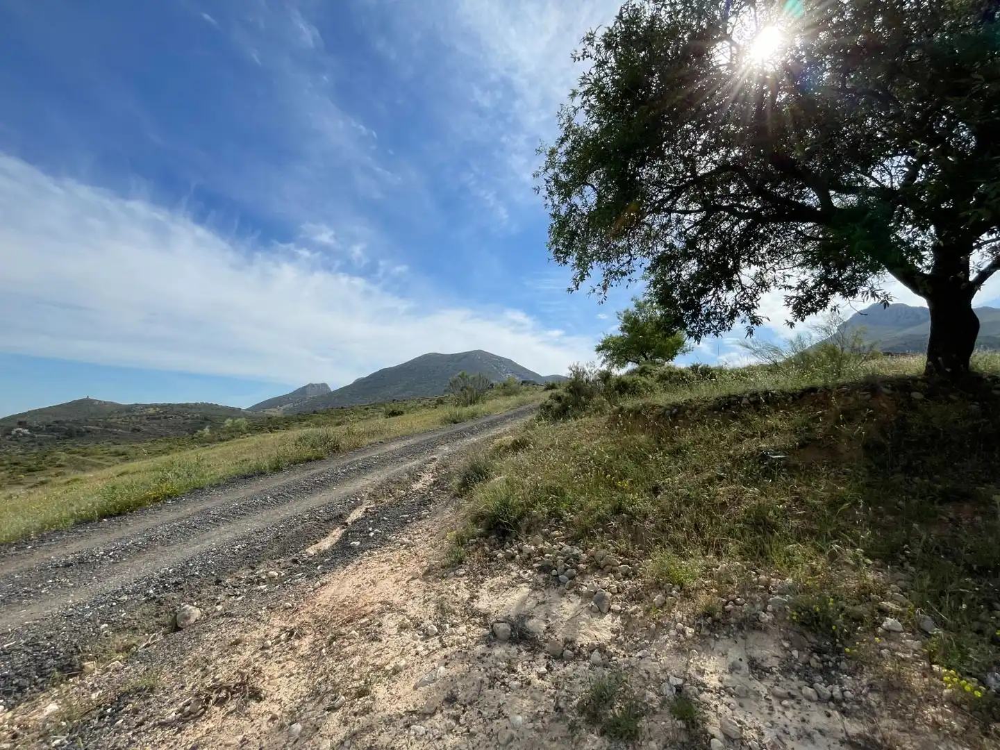 Terrenys i solars en venda a Cogollos de la Vega, imagen 14