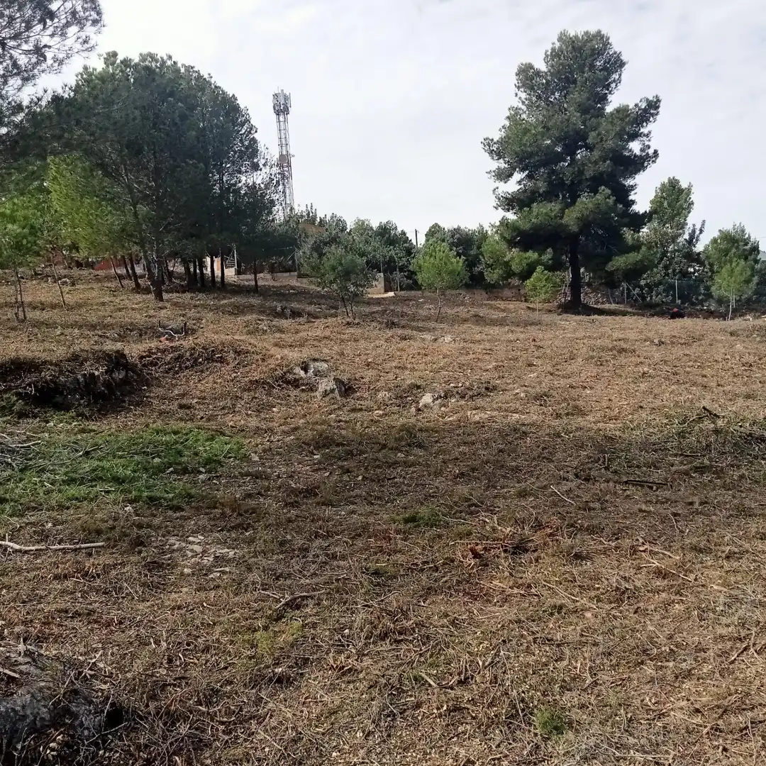 Terreni e lotti in vendita a Godelleta, imagen 7