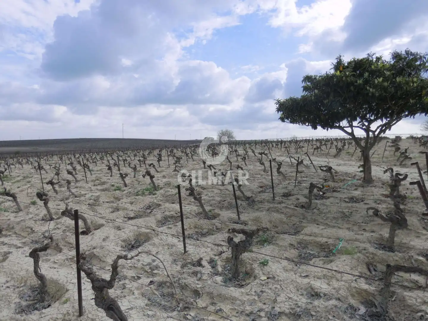 Rustikales Grundstück zum Verkauf in Ctra Jerez - Ctra del Puerto, imagen 4