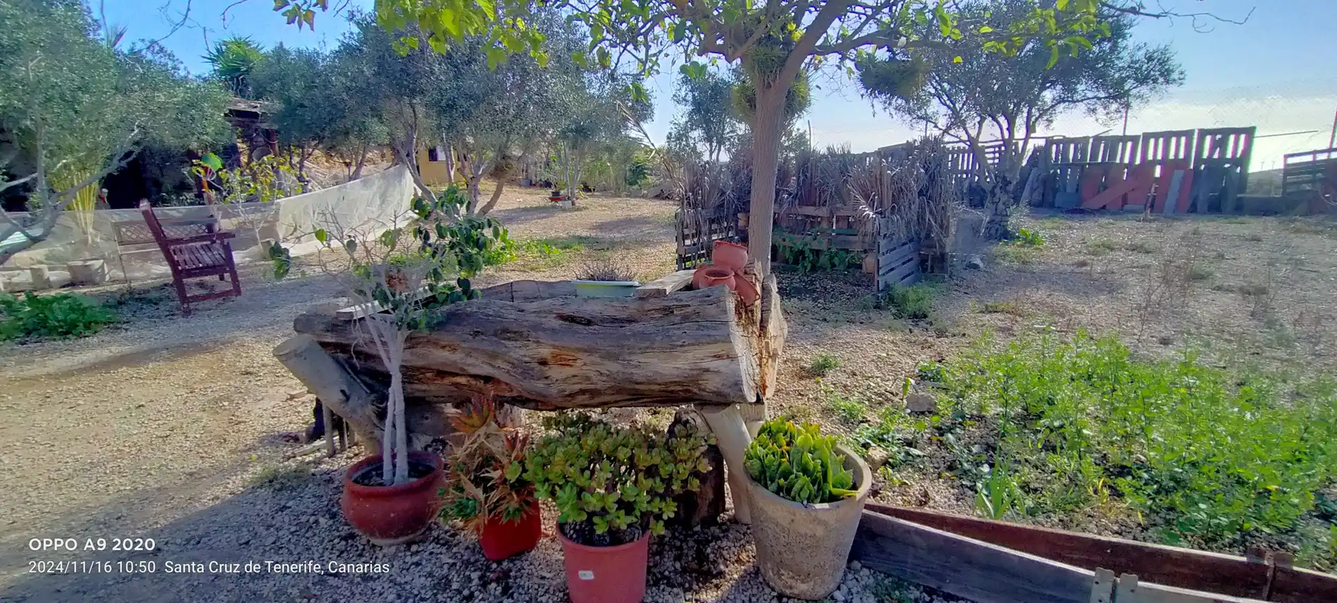 Jardín de Terreno en venta en Arico