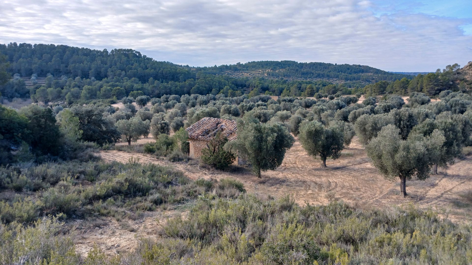 Terreno en venta en Calaceite