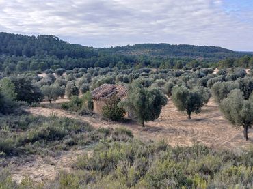 Terreno rustico in vendita a Calaceite