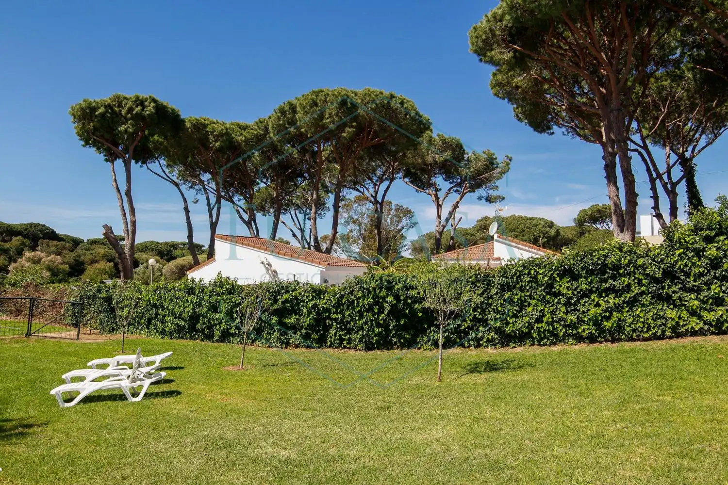 Villa con piscina in affitto a Los Gallos, imagen 24