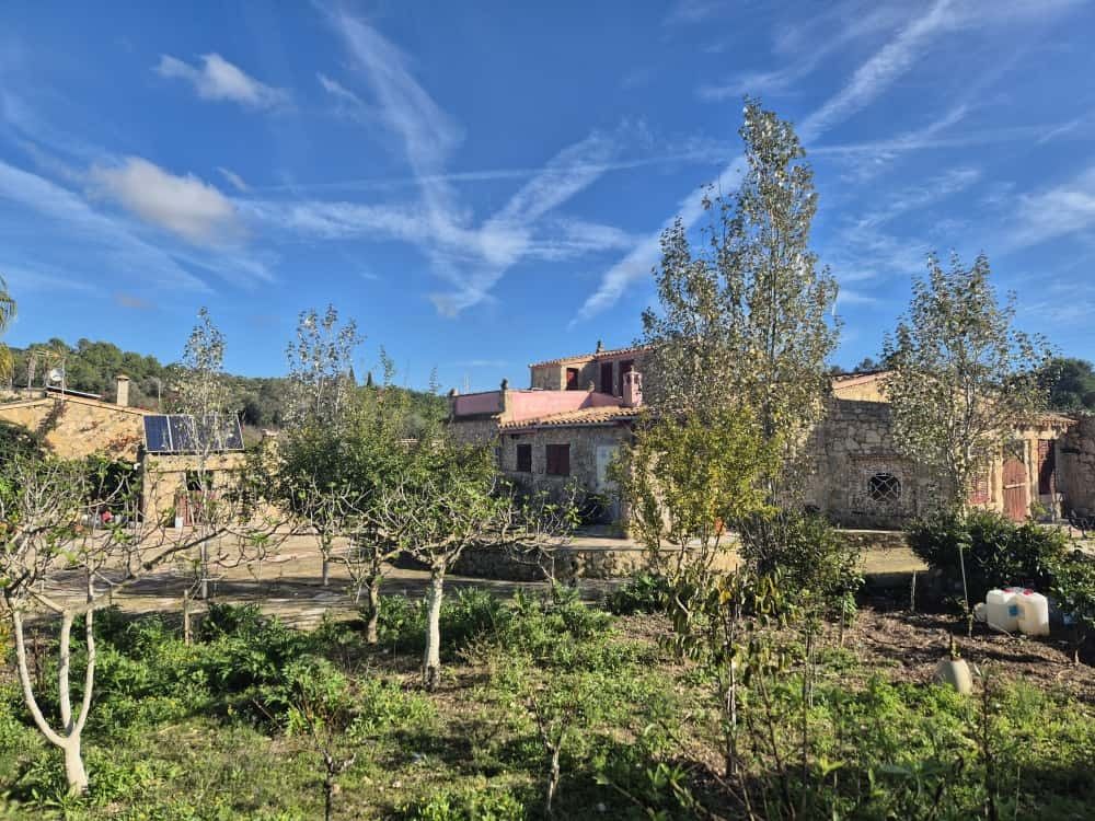 Vista exterior de Finca rústica en venda en Manacor amb Jardí privat