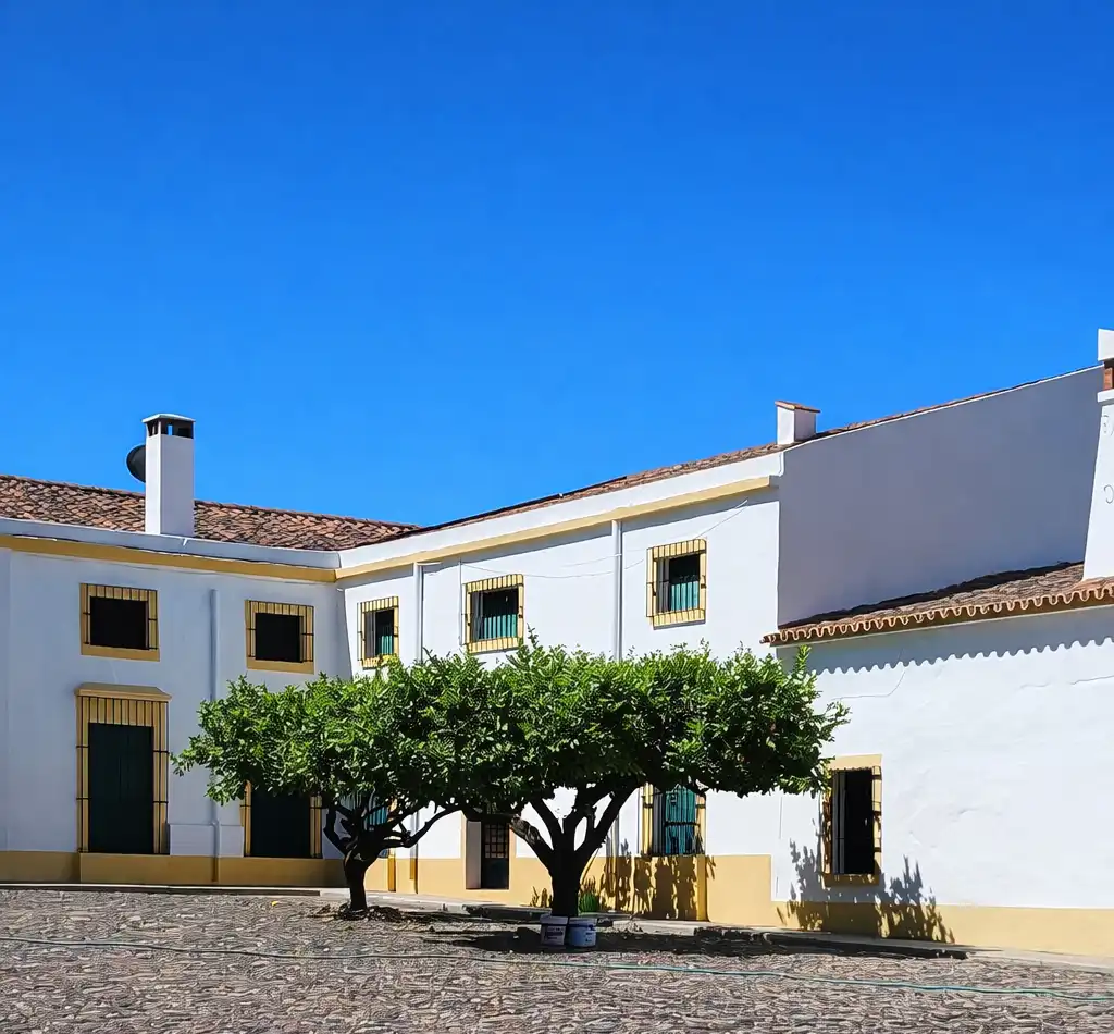 Exterior view of Country homes for sale in Badajoz  with Private garden, Terrace and Swimming Pool