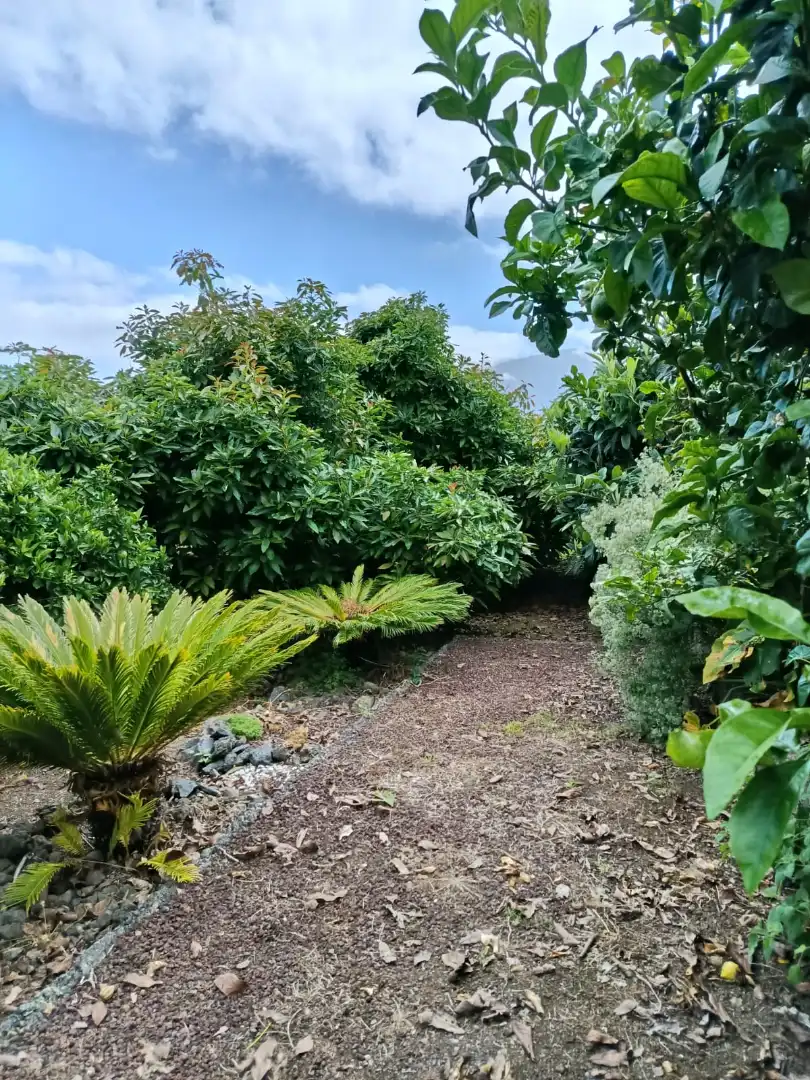 Garden of Houses for sale in La Orotava  with Furnished, Oven and Washing machine