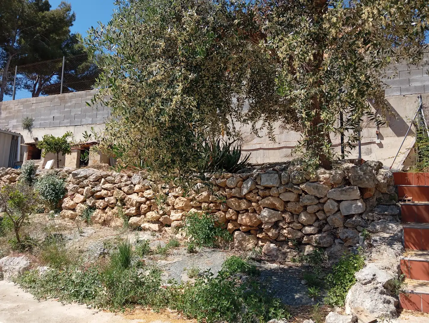 Jardí de Casa o xalet en venda en Bellvei amb Aire condicionat, Jardí privat i Terrassa