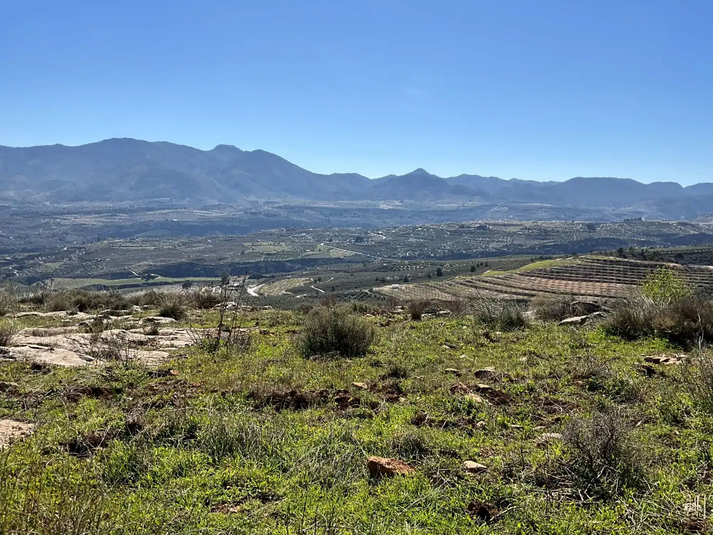 Terreni e lotti in vendita a El marchal, El valle, imagen 32