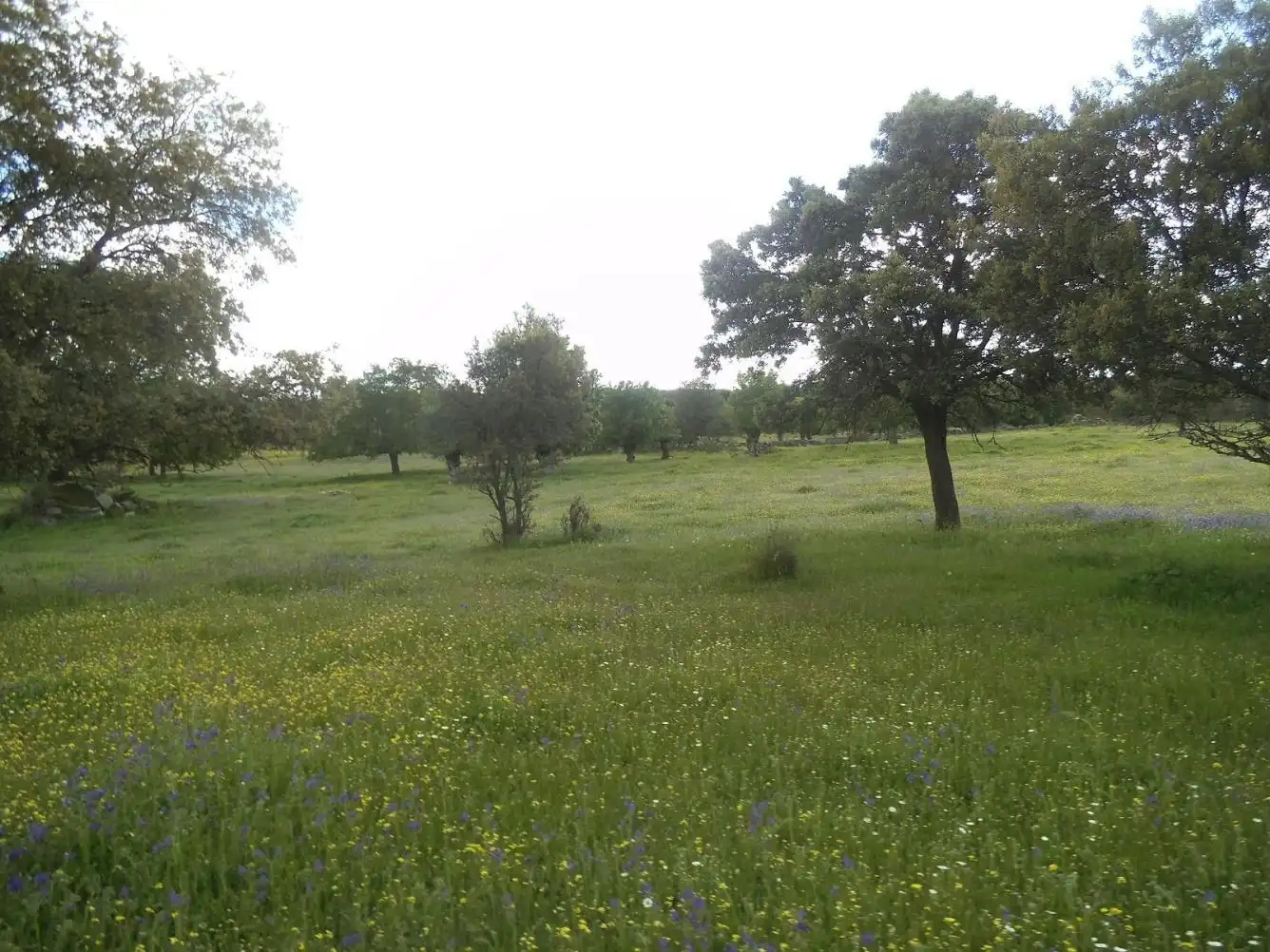 Residencial en venda en Valdemorillo