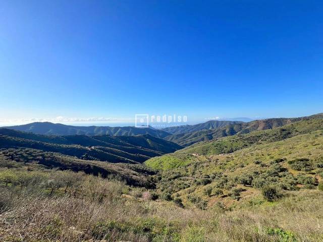 Terreno residencial en Venta en Polígono 5 en Cortes de la Frontera