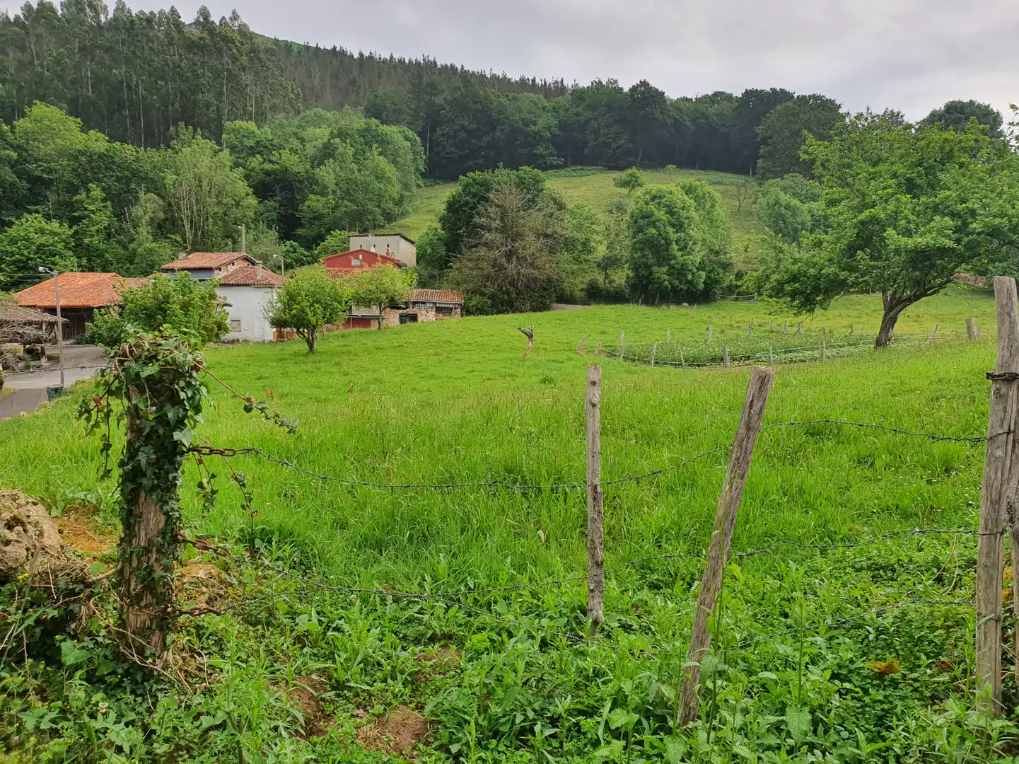Grundstücke und Bauplätze zum Verkauf in Pintueles - PINTUELES, imagen 4