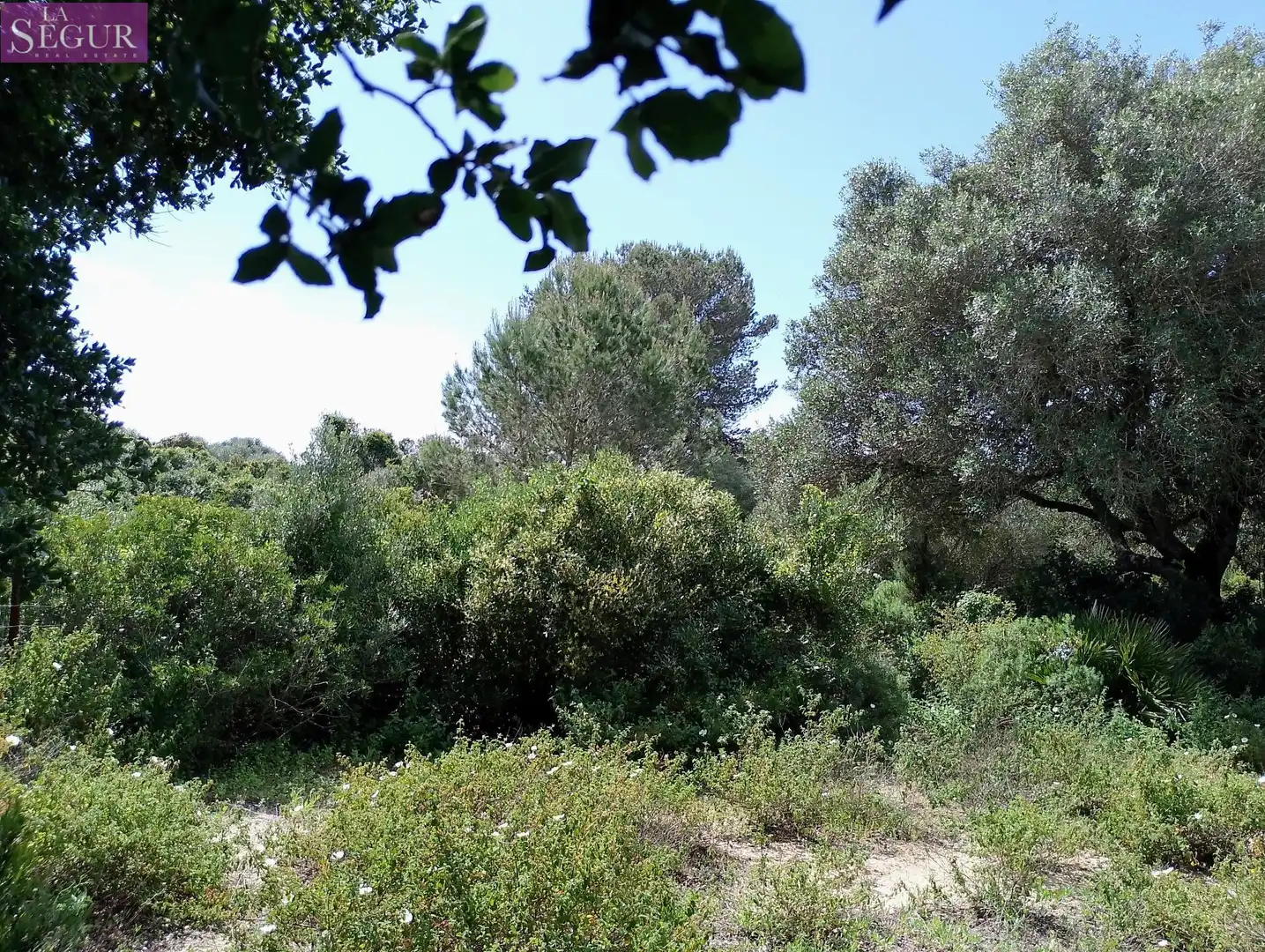 Terreno rustico in vendita a Barbate ciudad, imagen 4
