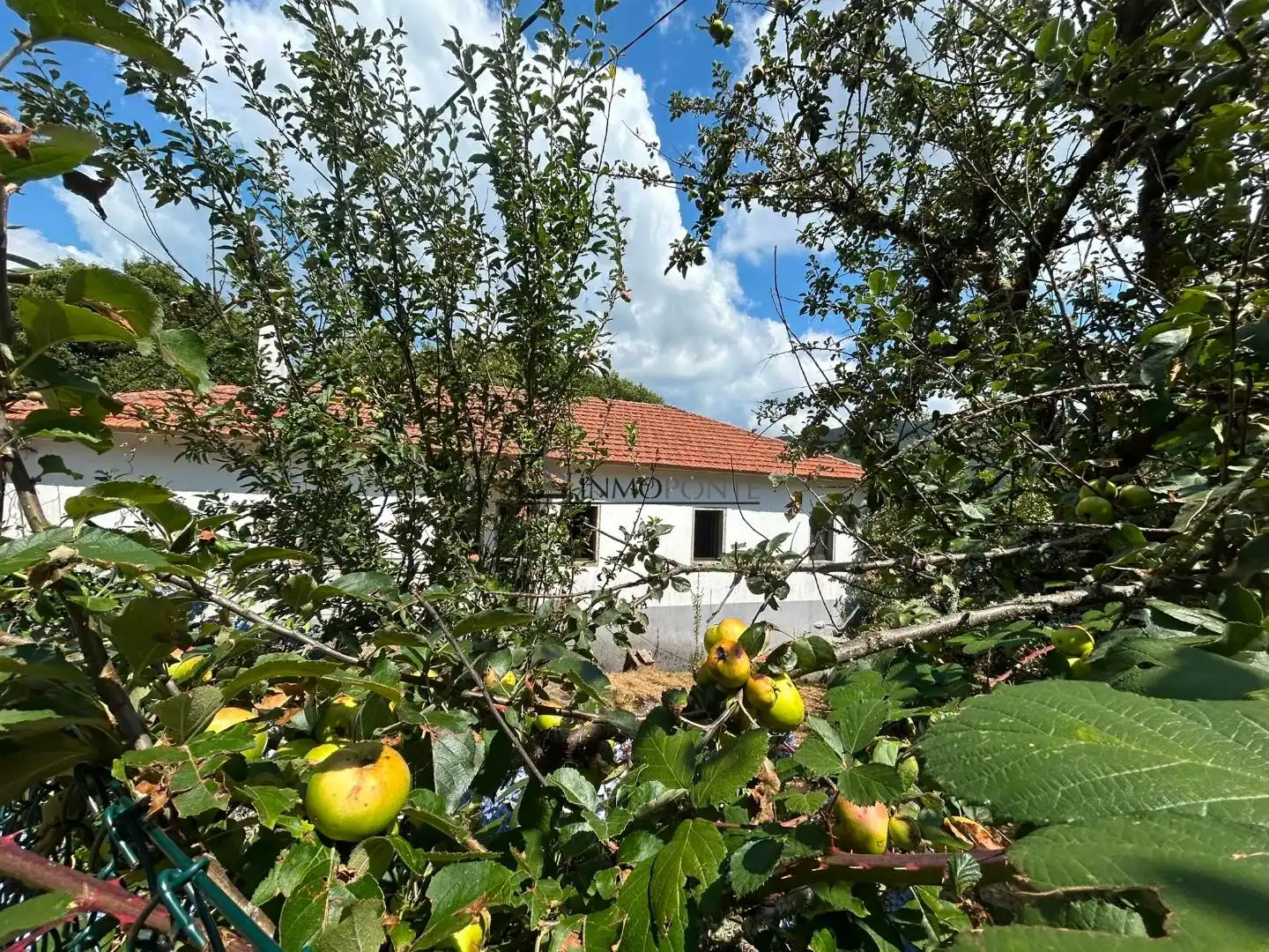 Vista exterior de Casa o xalet en venda en Forcarei amb Calefacció, Jardí privat i Traster