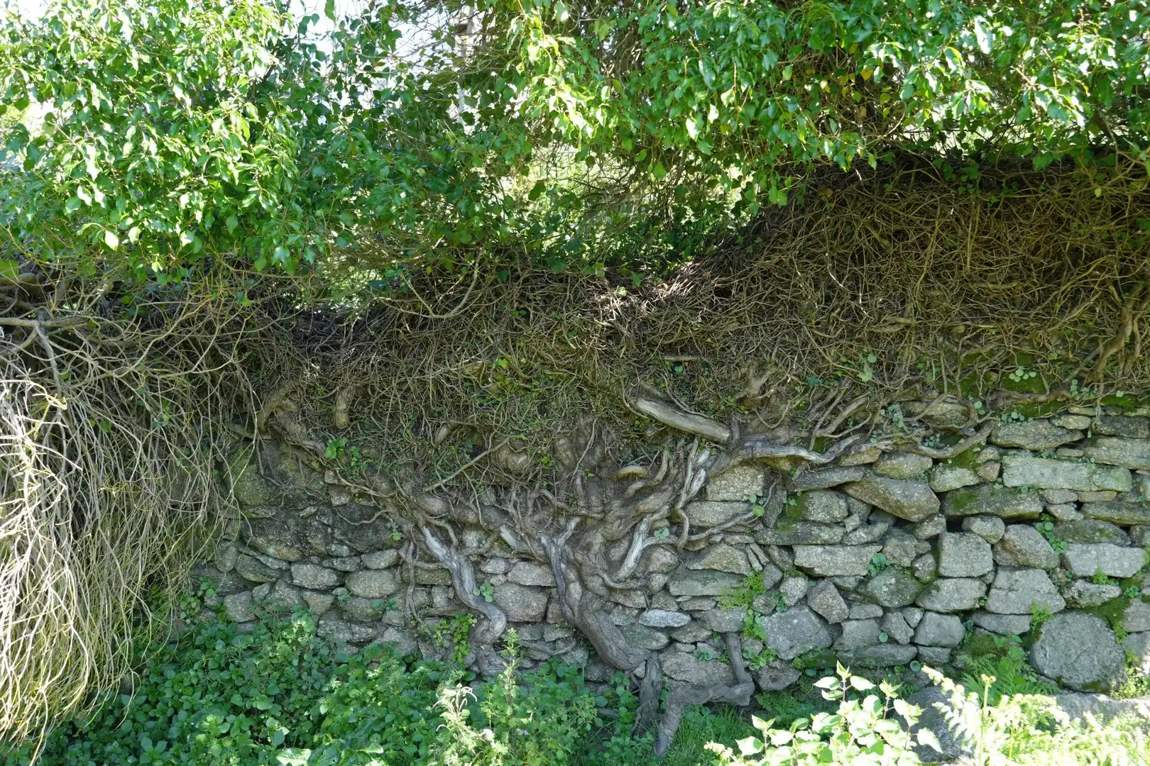 Garten von Residential zum Verkauf in Moraña
