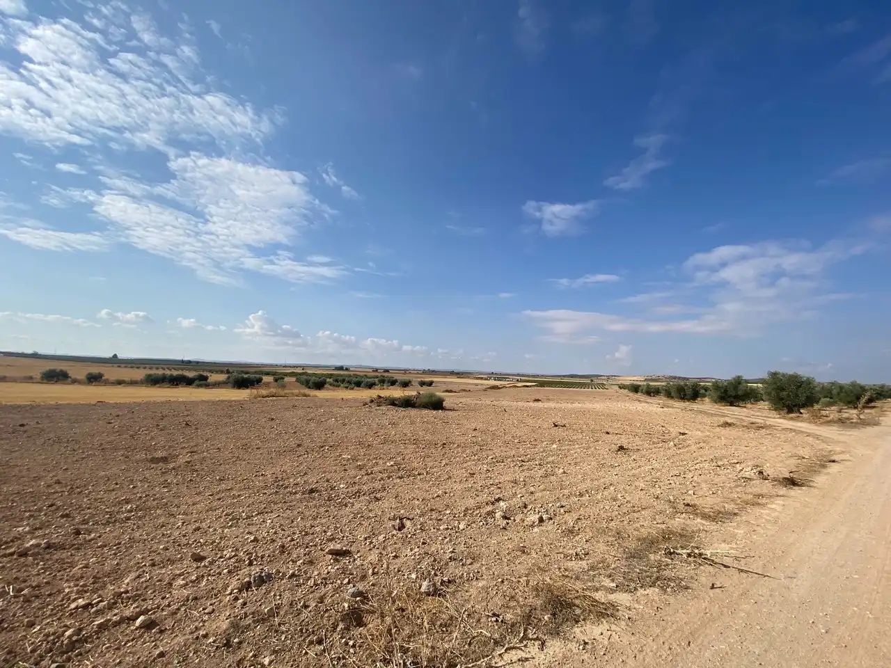 Terreny rústic en venda a Carretera Pozuelo de Calatrava 27, imagen 5