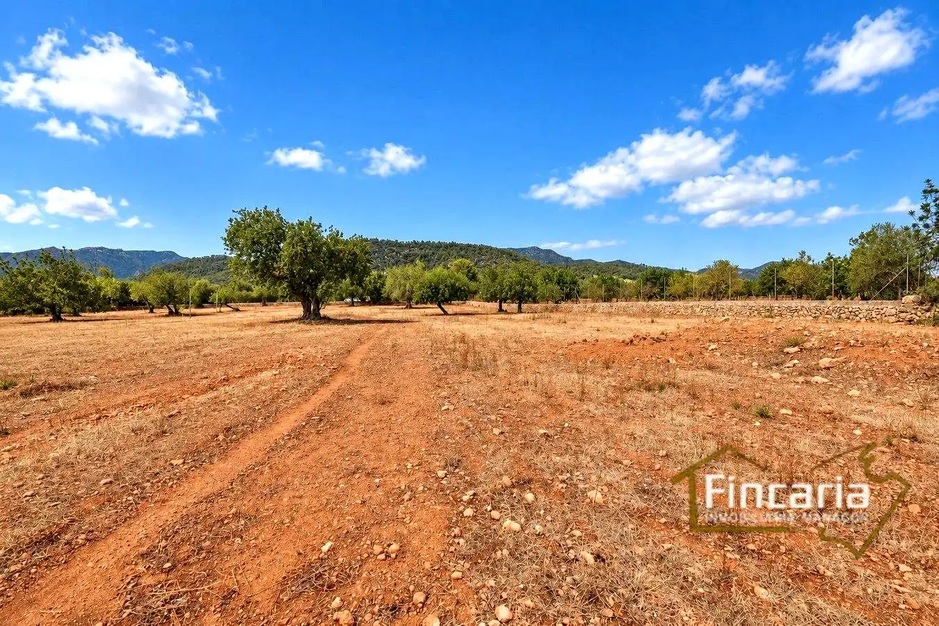 Country homes for sale in Marratxinet
