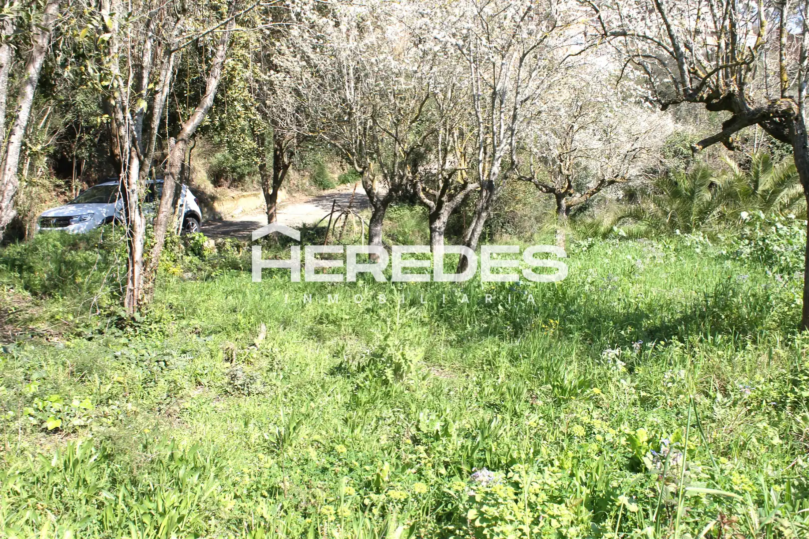 Casa con jardín en venta en Torrelles de Llobregat, imagen 30