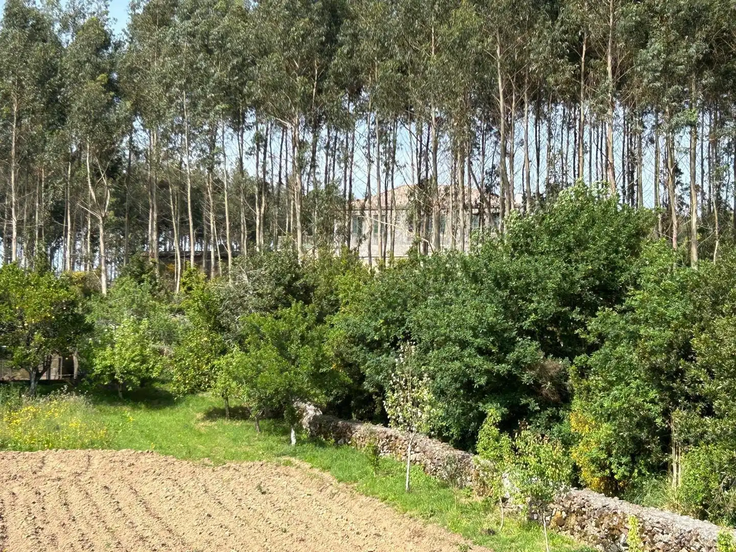Casa o xalet en venda en A Pobra do Caramiñal amb Calefacció, Terrassa i Traster
