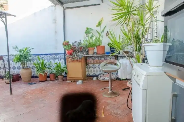 Jardí de Casa o xalet en venda en Orihuela amb Aire condicionat, Terrassa i Moblat