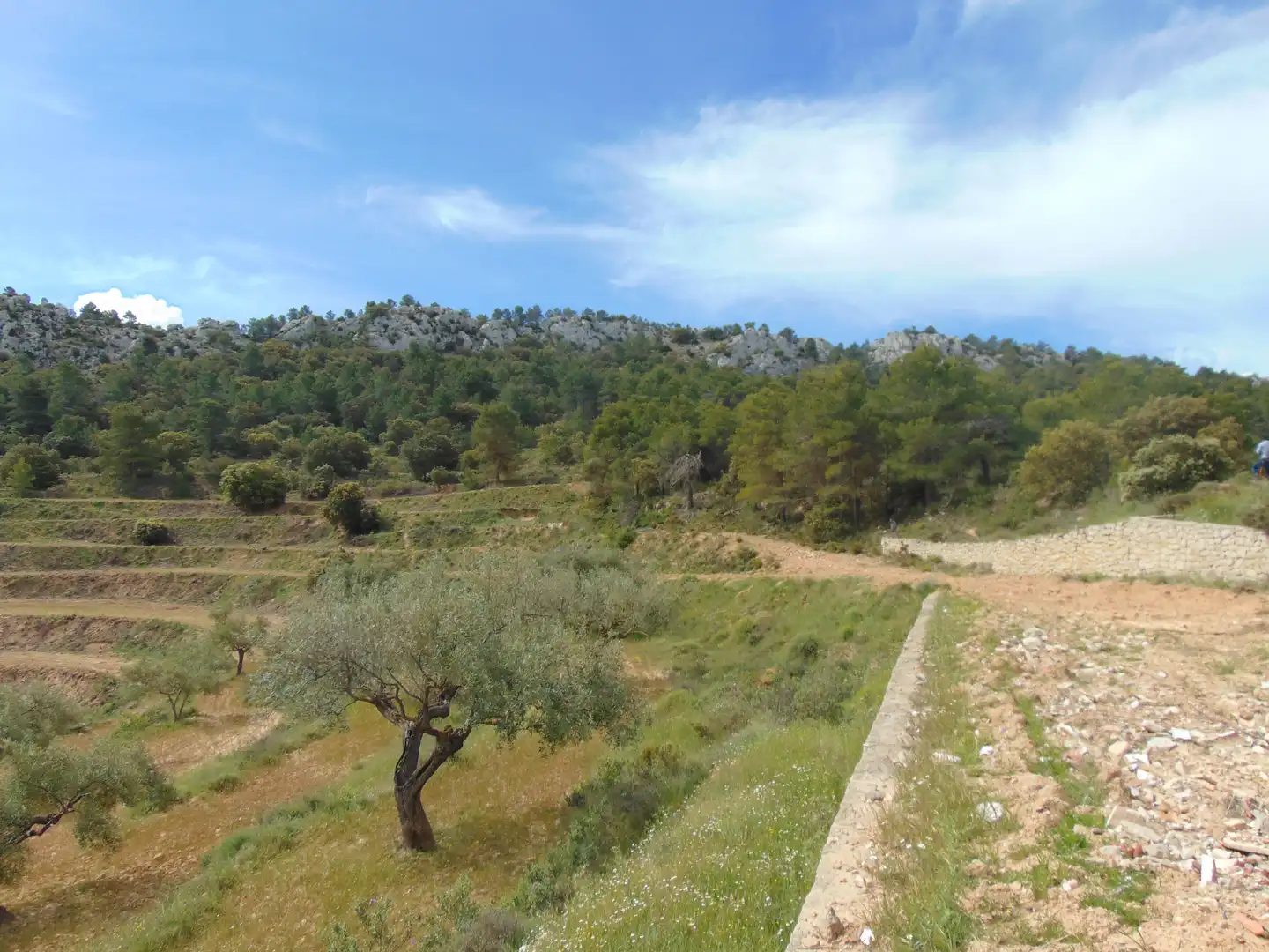 Casa rustica con piscina in vendita a Partida Polop Baix, imagen 27
