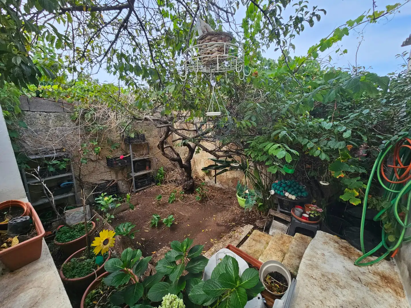 Jardí de Casa o xalet en venda en La Laguna