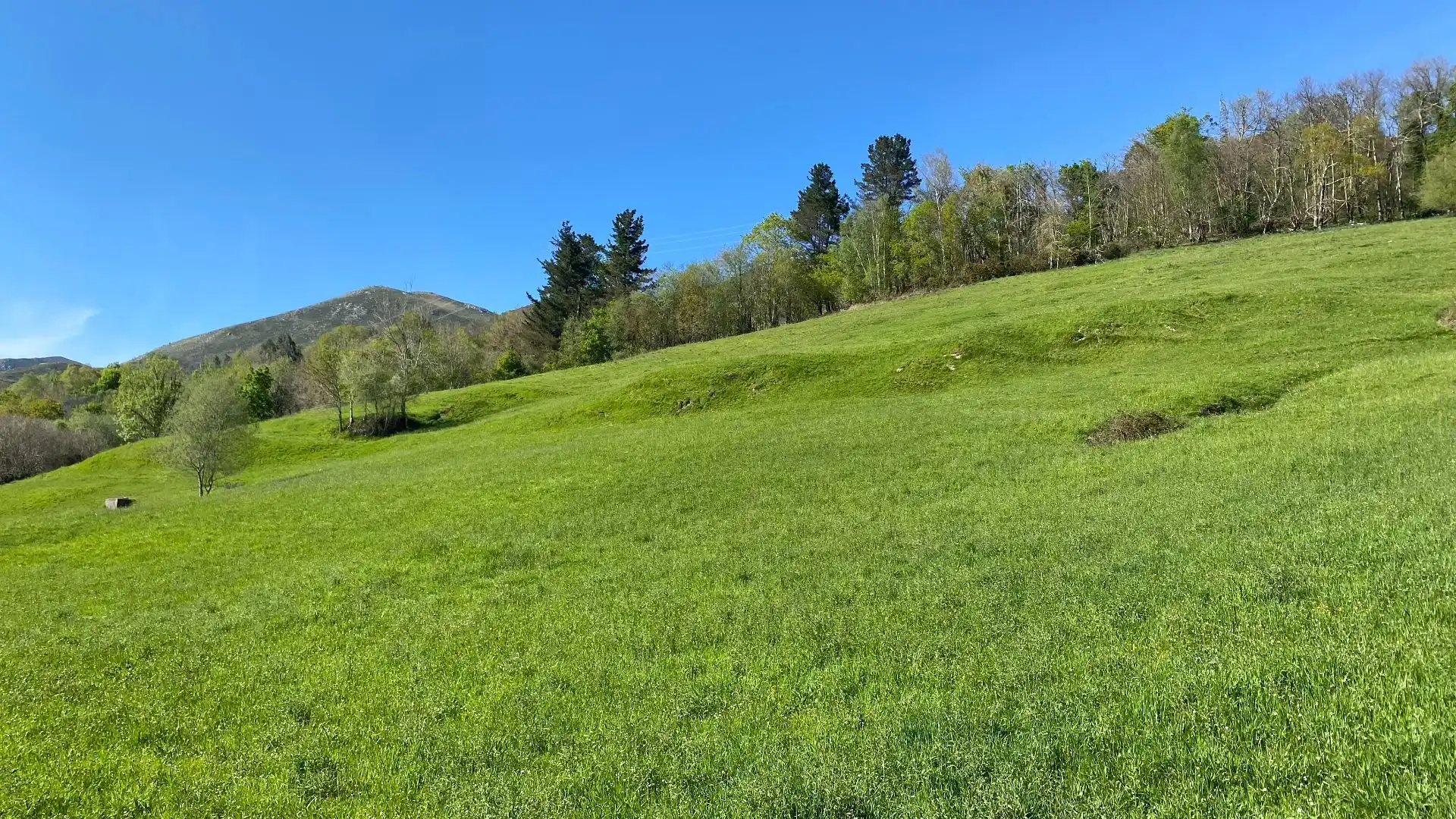 Casa o chalet en venta en Pedroso, Onís