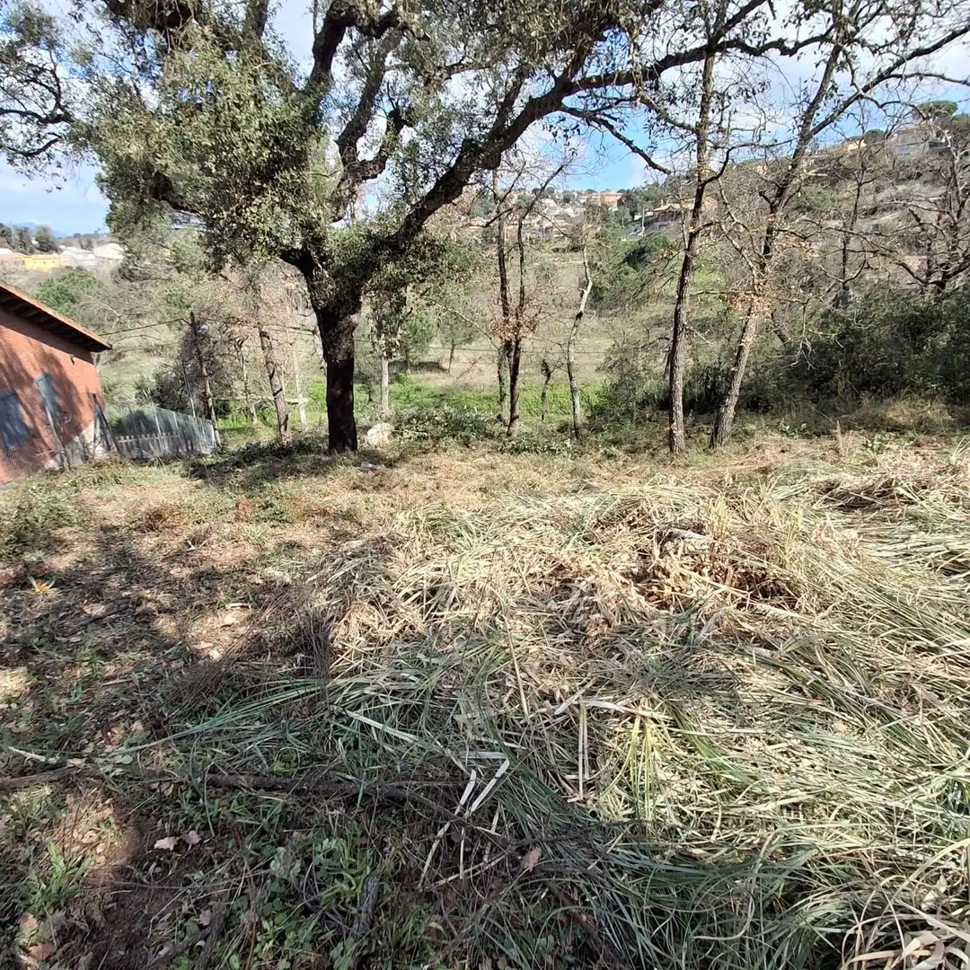 Terrenys i solars en venda a Maçanet de la Selva pueblo, imagen 5