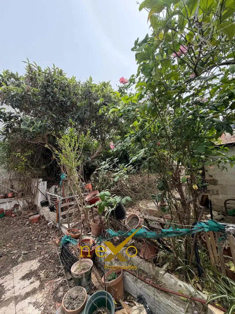 Jardín de Casa o chalet en venta en Carmona
