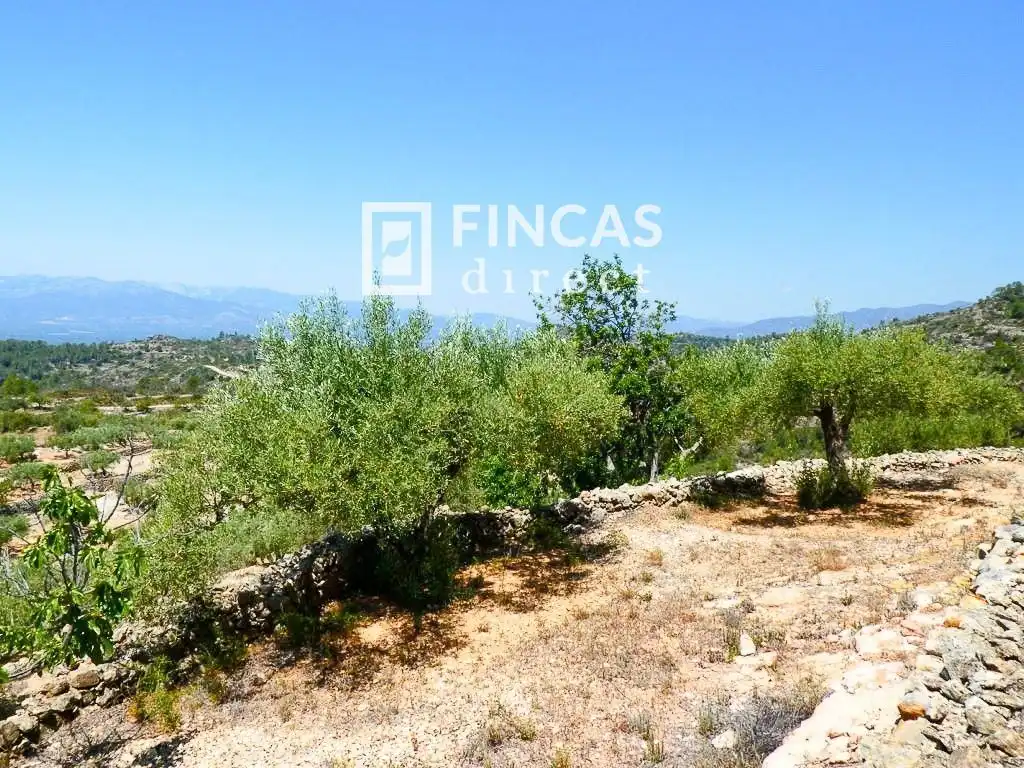 Country house zum Verkauf in Tortosa mit Möbliert