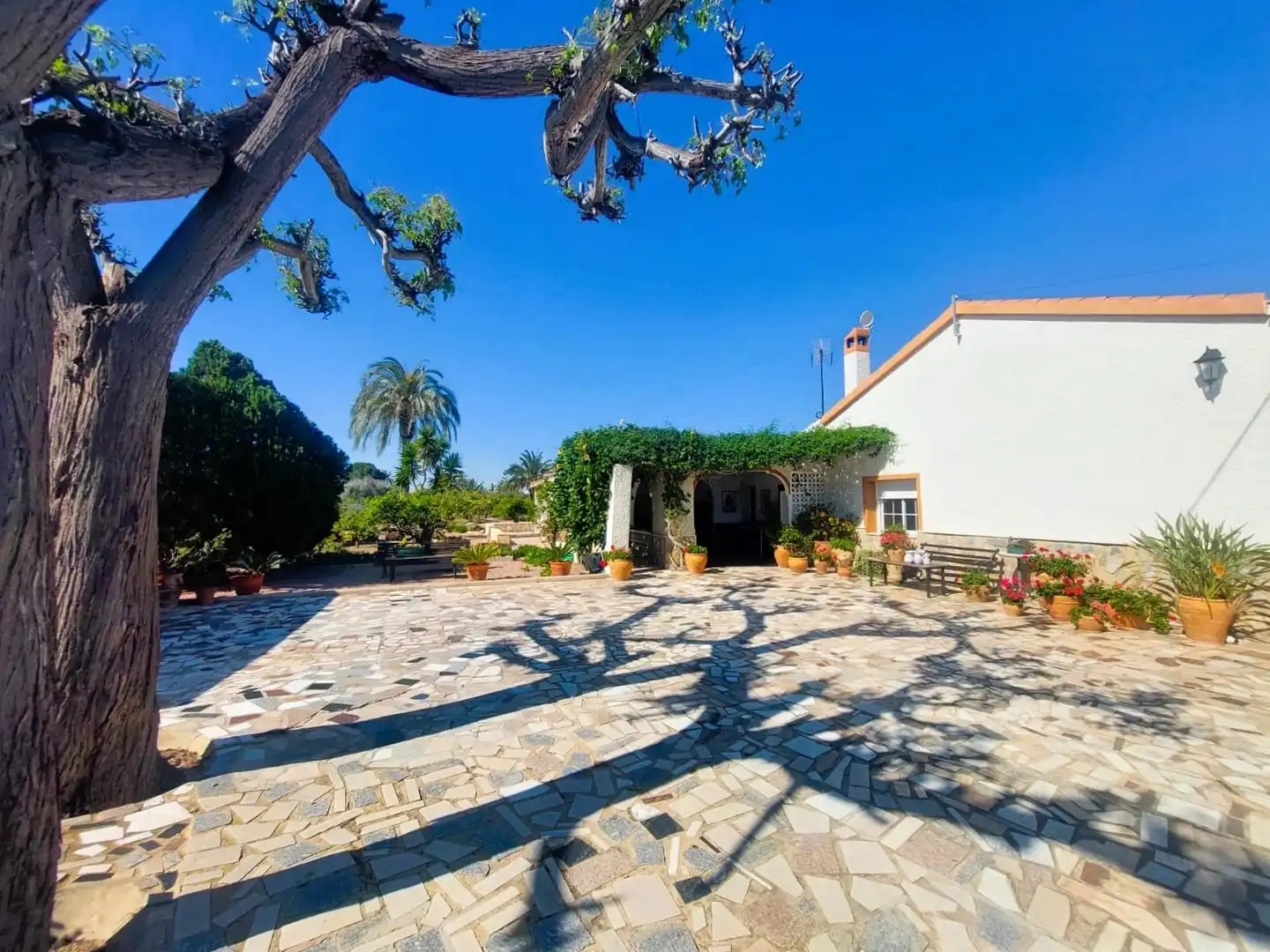 Vista exterior de Finca rústica en venta en Elche / Elx con Calefacción, Jardín privado y Terraza