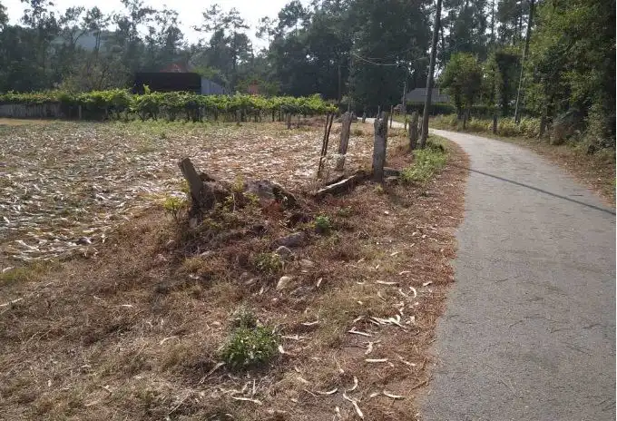 Terrenys i solars en venda a Salvaterra de Miño, imagen 2