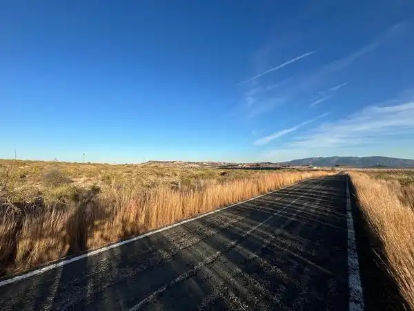 Rural land for sale in Carretera de Barqueros A 11