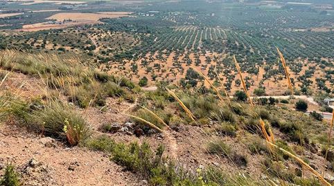 Foto 3 de Residencial en venta en Bobadilla - Bobadilla Estación - La Joya, Antequera