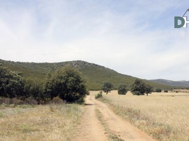 Terreni e lotti in vendita a Santa María  - Pío XII