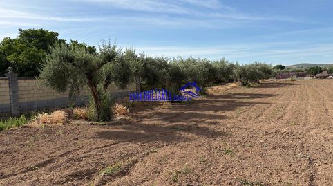 Foto 4 de Finca rústica en venda a Alcolea, Córdoba Capital