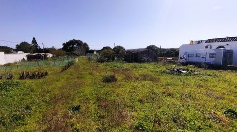Espectacular parcela segregada en la zona de Patria en Vejer.