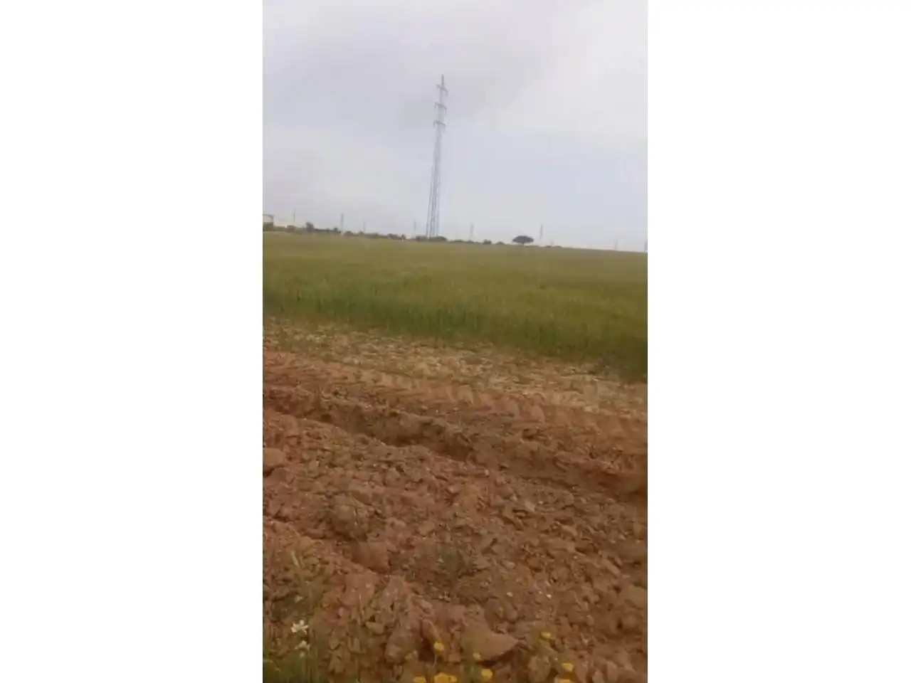Grundstücke zur Miete in Puerto Real