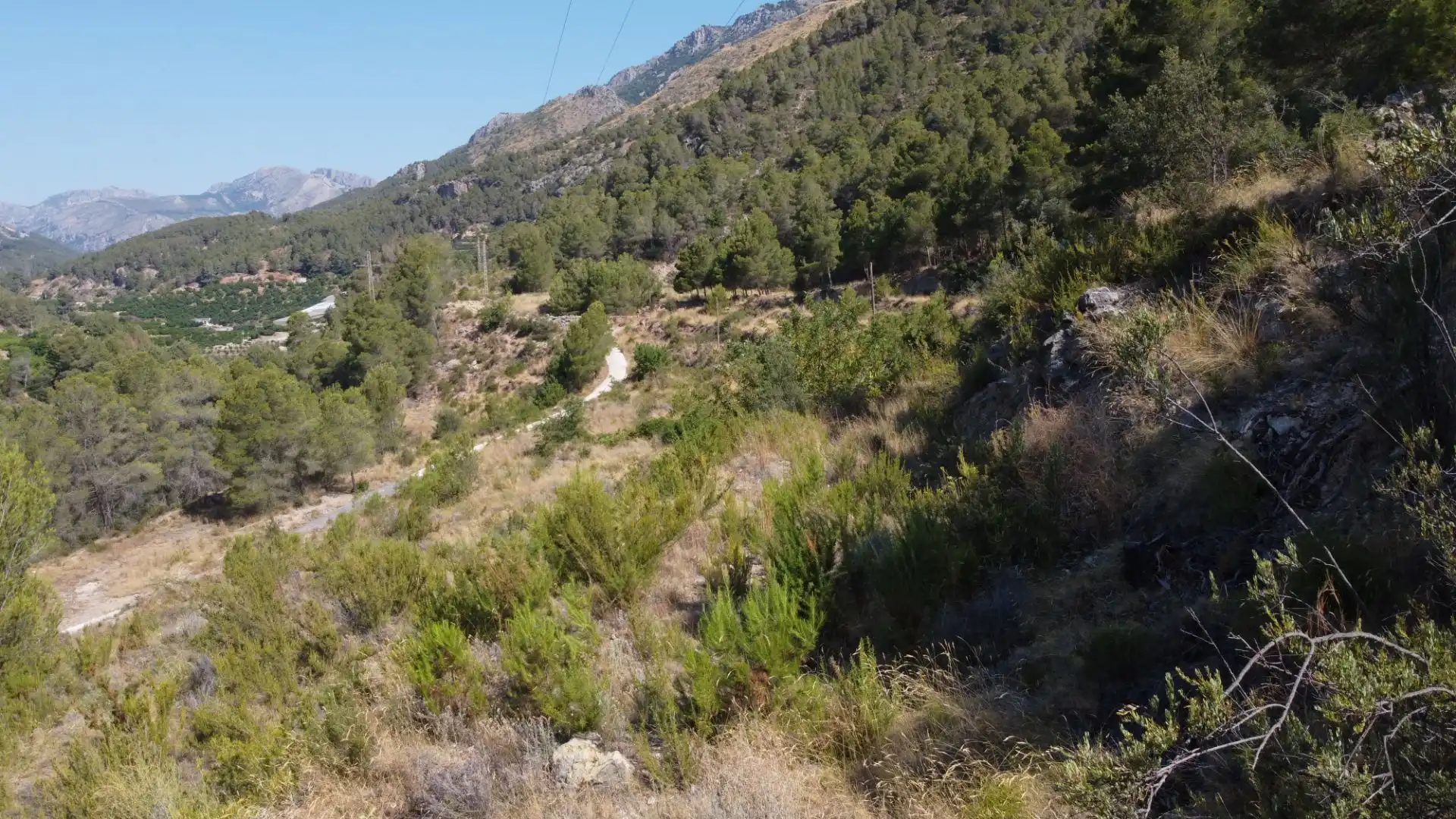 Terrenys i solars en venda a Callosa d'en Sarrià, imagen 11