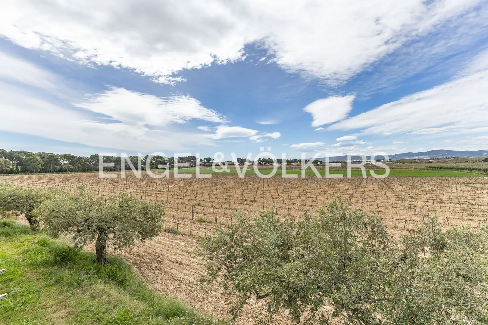 Casa o xalet en venda a Banyeres del Penedès