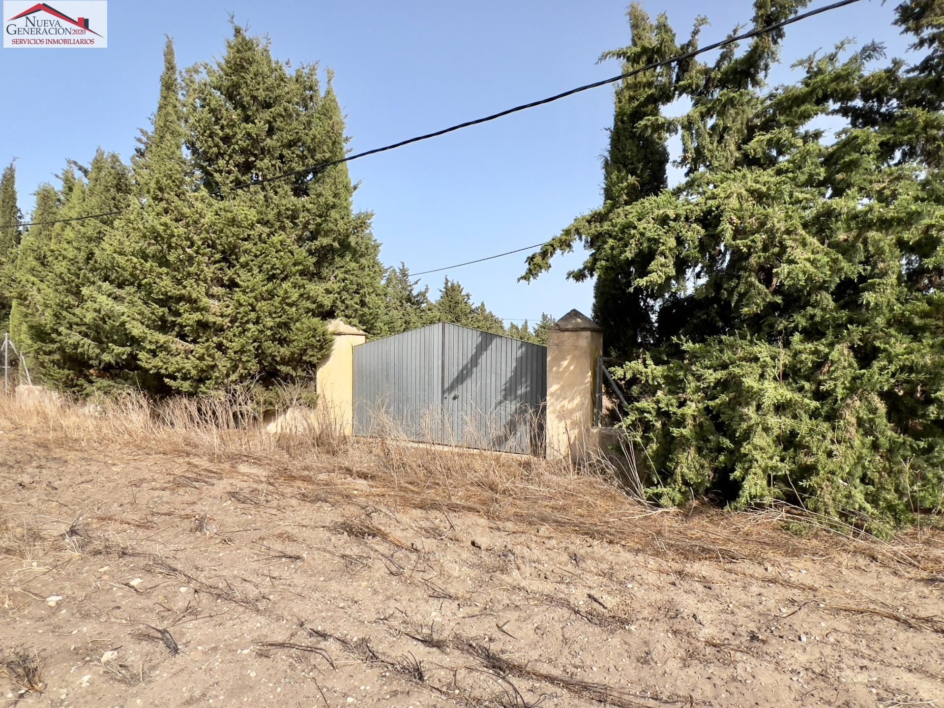 Industrial land for sale in Conil de la Frontera