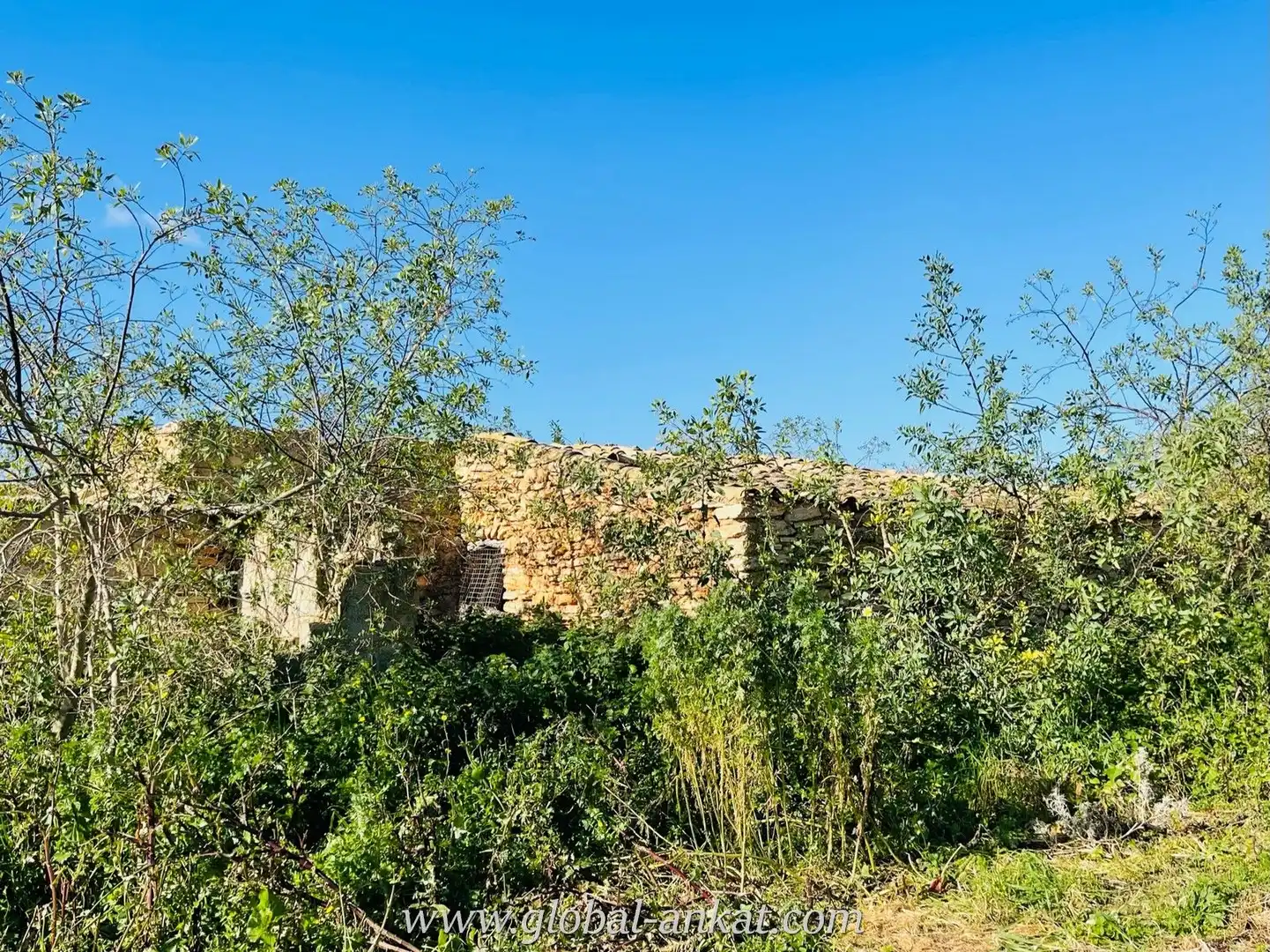 Finca rústica en venta en Manacor