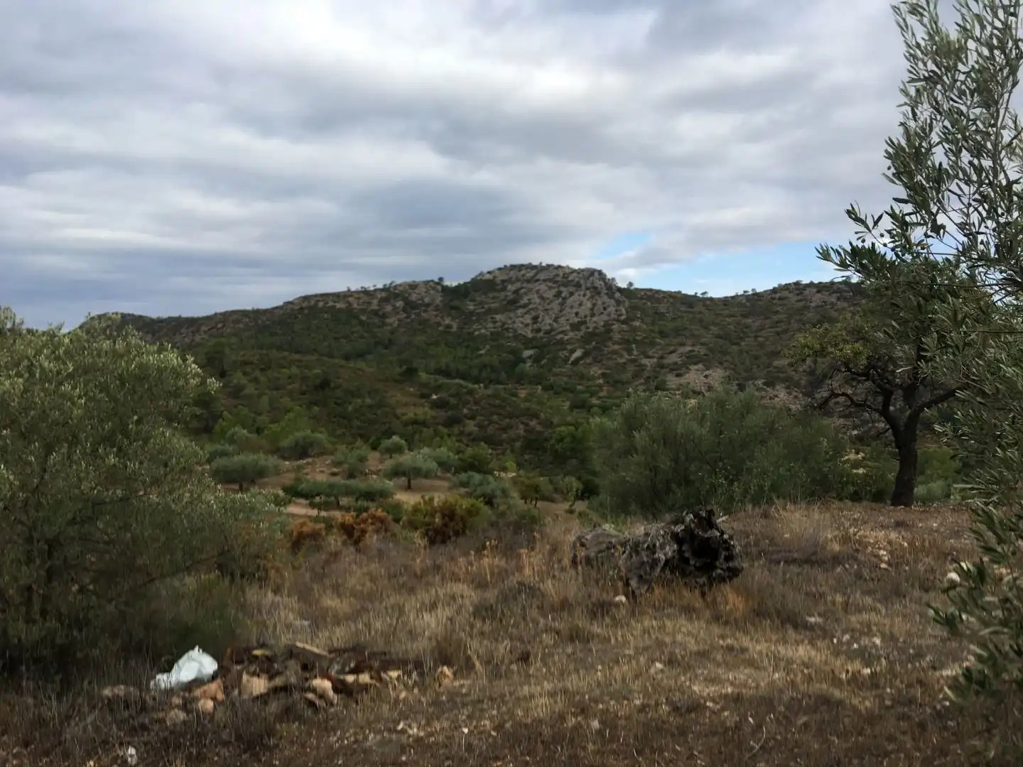 Finca rústica en venda en Benifallet