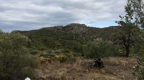 Foto 5 de Finca rústica en venda a N/a, Benifallet, Tarragona